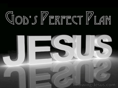God's Perfect Plan (devotional)09-07 (black)